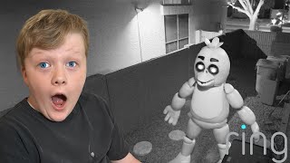 We caught Chica on our Security Camera Fazbear Nights is the Scariest FNAF EVER [upl. by Akkeber]