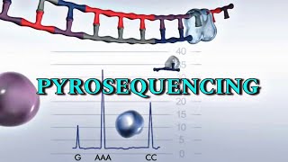 Pyrosequencing  Detail video in Hindi [upl. by Caraviello]