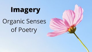 What Is Imagery in Literature🌹🌻 Types Of Imagery in Poetry 🎄🌲 Use and Examples of Imagery 🌴🍀 [upl. by Ielirol83]