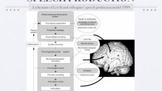 Psycholinguistics Speech Production [upl. by Yee146]