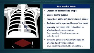 Hypertrophic Cardiomyopathy Heart Murmur [upl. by Intihw]