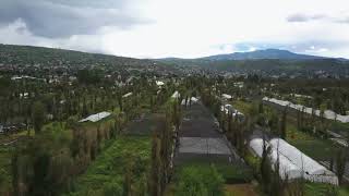 Humedales y chinampas de Xochimilco Vista aérea con drone Mavic Pro [upl. by Burch]