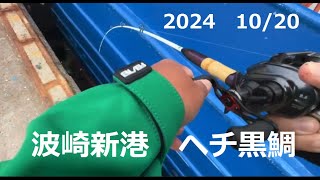 【波崎新港】ヘチ釣りで黒鯛【2024年10月20日】 [upl. by Adiana277]