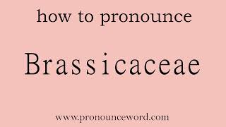 Brassicaceae How to pronounce Brassicaceae in english correctStart with B Learn from me [upl. by Inaboy]