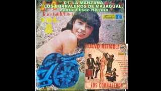 14 CAÑONAZOS BAILABLES VOLUMEN 8 DEL AÑO 1968 [upl. by Pavel924]