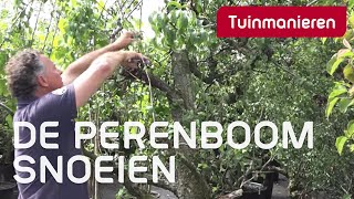 De perenboom snoeien hoe doe je dat  Tuinmanieren [upl. by Rahel]