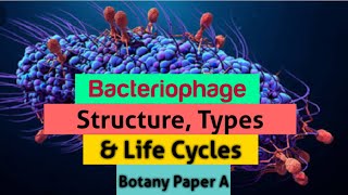 Structure Types and Life Cycles of a Bacteriophage  Botany paper A  Phage GreenLearningwithHIRA [upl. by Hearsh]