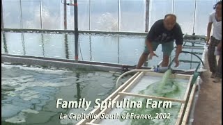 Family Spirulina Algae Farm in France • 2002 [upl. by Armand854]