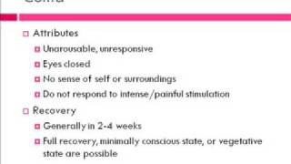 Vegetative State vs Coma Whats the Difference [upl. by Wardieu79]