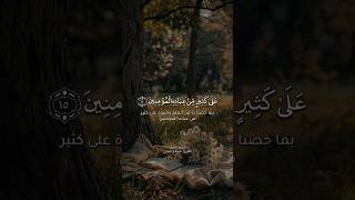 سورة النمل الآية1517 القارئ إسلام صبحي 🤍 quranverses [upl. by Ermengarde]