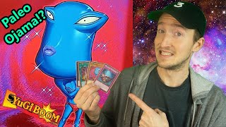 YuGiOh Paleozoic Ojama Deck Profile  January 2019 [upl. by Paz500]