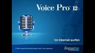 Voice Pro 12 Spracherkennung im Internet surfen per Sprache [upl. by Llevrac581]