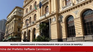 TG SI Informa 29 luglio 2024 [upl. by Odraccir]