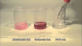 phenolphthalein indicator with carbonate solution and Bicarbonate Solution [upl. by Ernie]