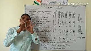 Karyotype And Idiogram In Hindi [upl. by Loris923]