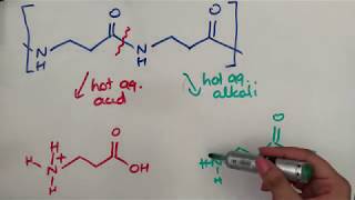 Condensation polymers  hydrolysis [upl. by Nilkcaj618]