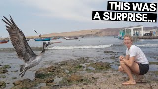 PARACAS PERU TOUR NOT WHAT WE EXPECTED  PARACAS NATIONAL RESERVE PERU  PART 2 [upl. by Ecyned949]