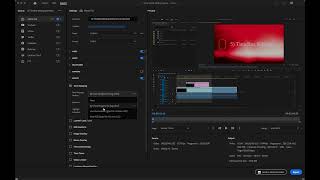 6 Exporting premiere pro in Hindi [upl. by Ainav998]