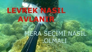 LEVREK NASIL AVLANIR ANLATIMLI VİDEO [upl. by Brandie140]