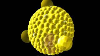 Lipoproteins [upl. by Mehelhteb]