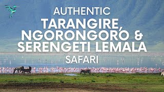 Authentic Tarangire Ngorongoro amp Serengeti Lemala Safari [upl. by Daht46]