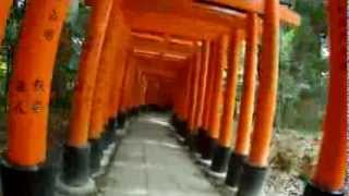 Voyage Japon Fushimi Inari Kyoto [upl. by Brubaker]