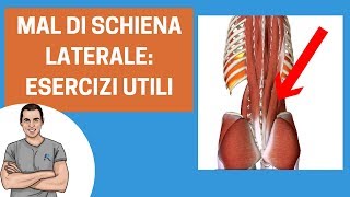 Mal di schiena laterale esercizi per migliorare il dolore [upl. by Angle]