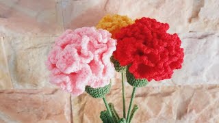 Móc hoa cẩm chướng Crochet carnations😍😍😍 [upl. by Akimit]