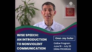 Wise Speech An Introduction to Nonviolent Communication [upl. by Capello]