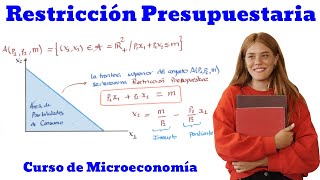 La Restricción Presupuestaria  Curso de Microeconomía [upl. by Yenttirb]