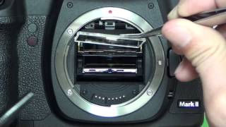 How to remove dust inside finder Canon 5DMarkⅡ [upl. by Isaiah888]