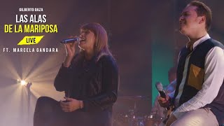 Gilberto Daza  Las Alas De La Mariposa Feat Marcela Gandara Live  ¿Quién Dijo Miedo LIVE [upl. by Rolando]