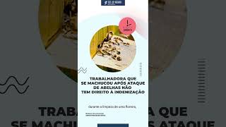 Trabalhadora que se machucou após ataque de abelhas não tem direito à indenização [upl. by Kloster]