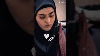 Hamid 🤍 Leyla agazadeh farsi love farsisong pedar turkish turkishsongs urdu pakistan iran [upl. by Gussi]