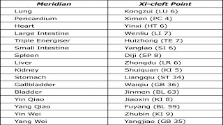 USES OF XI CLEFT OR ACCUMULATION POINTS IN ACUPUNCTURE [upl. by Ettennej214]