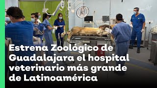 Plantean construcción este año de hospital veterinario en Zoológico de Guadalajara  JN [upl. by Dorey]