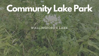 Community Lake Park  Wallingford CT [upl. by Atiuqam620]