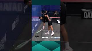 THIS HAS EVERYTHING 🤯 Epic from Mostafa Asal 🔥 squash [upl. by Melisandra82]