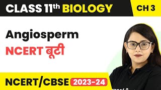 Angiosperm  NCERT बूटी  Plant Kingdom  Class 11 Biology Chapter 3  NCERTCBSE [upl. by Christy]