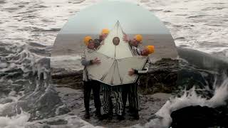 Cosmo Sheldrake  Old Ocean Official video [upl. by Eynttirb]