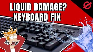 KEYBOARD LIQUID DAMAGE  HERE IS HOW TO SAVE IT [upl. by Rrats]