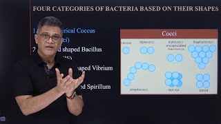 Biological classification Part  3 Kingdom  Monera [upl. by Hesta337]