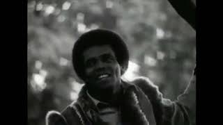 Johnny Nash  I Can See Clearly Now 1970 [upl. by Hedelman]