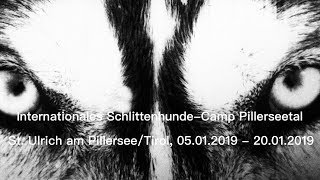 SchlittenhundeCamp Winter 2018 St Ulrich am Pillersee [upl. by Eiramlehcar]