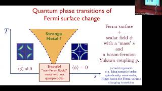 Quantum Phase Transitions of Metals Part 1  Subir Sachdev [upl. by Reynard218]