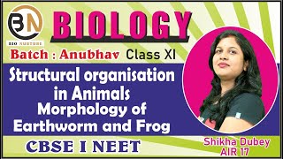 STRUCTURAL ORGANISATION IN ANIMALSMORPHOLOGY OF EARTHWORM AND FROG CLASSXI BIOLOGY NEET 2025 [upl. by Pepito]