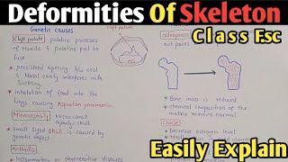 Deformities Of Skeleton  Arthritis  Osteoporosis  Herniation  Class 12 [upl. by Atsirtal985]