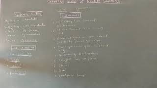 M Sc Zoology Pyrosoma Life cycle [upl. by Notnroht]