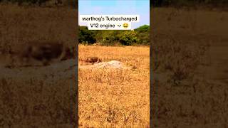 MR Warthog 0 to 100 kmh 005 Sec 😱😱  Speed of God 👹 [upl. by Chryste]