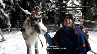 20191218 Reindeer info at Reindeer Lodge Jukkasjärvi Lapland Sweden [upl. by Neill]